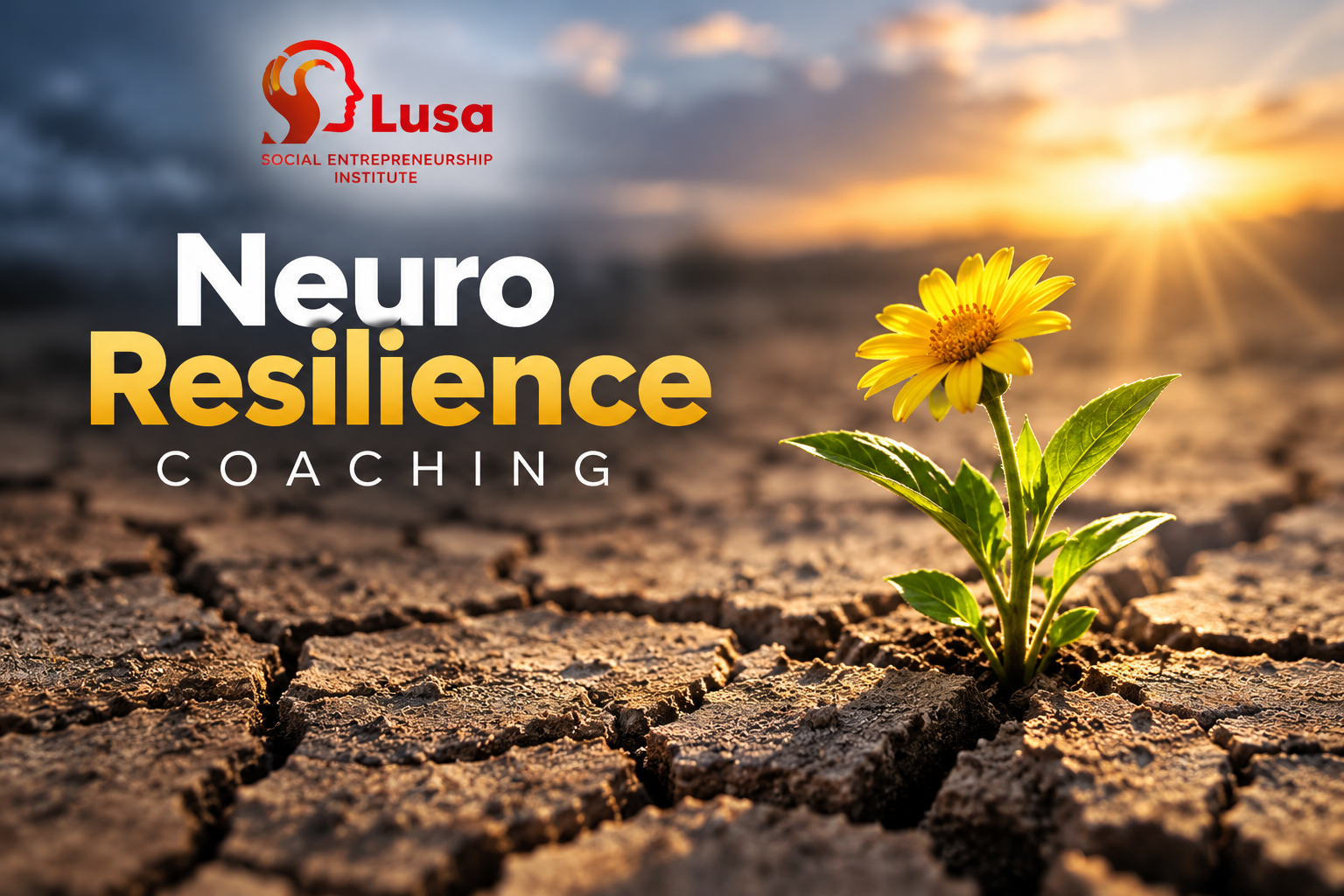Neuro Resilience Coaching